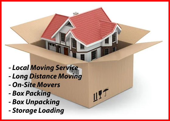 Packers And Movers Noida Sector 132